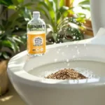 Objavte, ako môže kávová usadenina premeniť vaše toalety pred dovolenkou